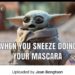 more-baby-yoda-memes